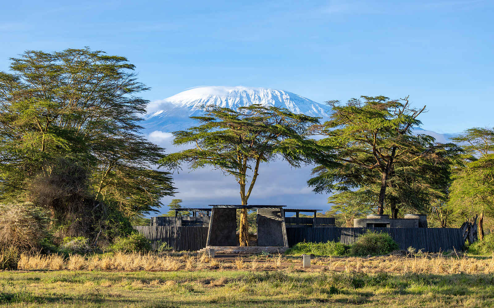 Angama Amboseli: Der Eingang zum Pool Angama Amboseli: Der Eingang zum Pool