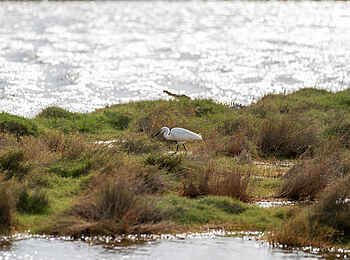 Azura Benguerra Island Retreat: In den Dünen