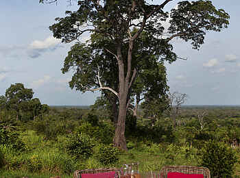 Beho Beho Camp: Essen im Busch