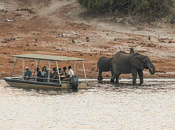 Chobe Princess: Ausflug mit dem Beiboot Chobe Princess: Ausflug mit dem Beiboot