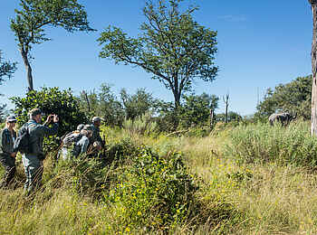 Duba Explorers Camp: Auf Walking Safari