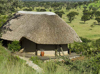 Grumeti Hills Camp: Reetdach eines Gästechalets