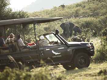 Klein's Camp: Elefantensichtung