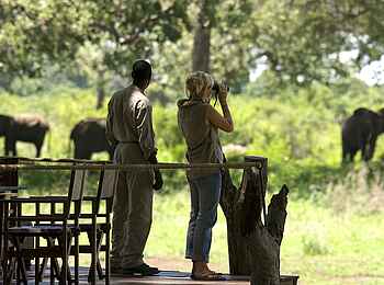 Luangwa Safari House: Elefanten werden beobachtet Luangwa Safari House: Elefanten werden beobachtet