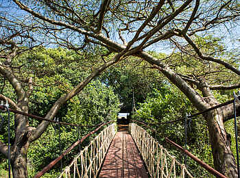 Mara Plains Camp: Der Zugang Mara Plains Camp: Der Zugang