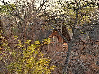 Muchenje Safari Lodge: Gästechalet