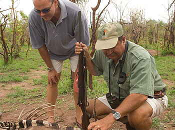Musango Safari Camp: Zebraskelett