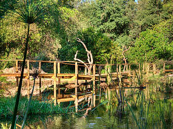 Okuti Camp: Laufsteg