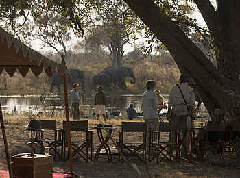 Selinda Explorers Camp: Elefanten am gegenüberliegenden Ufer Selinda Explorers Camp: Elefanten am gegenüberliegenden Ufer