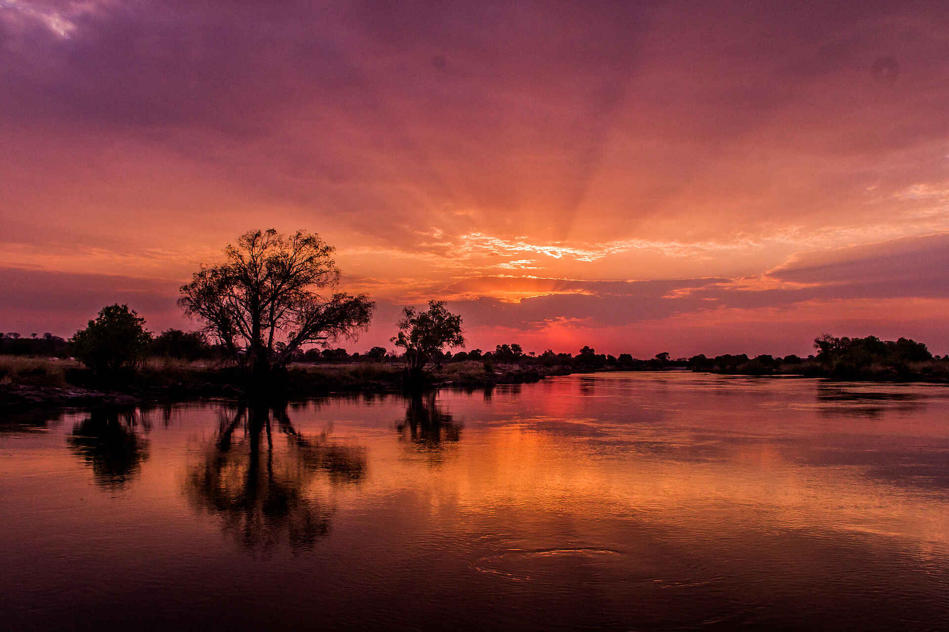 Sindabezi Island Camp: Sonnenuntergang