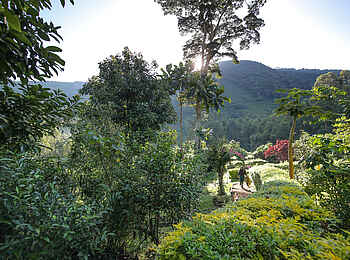 Mahogany Springs Safari Lodge: Garten