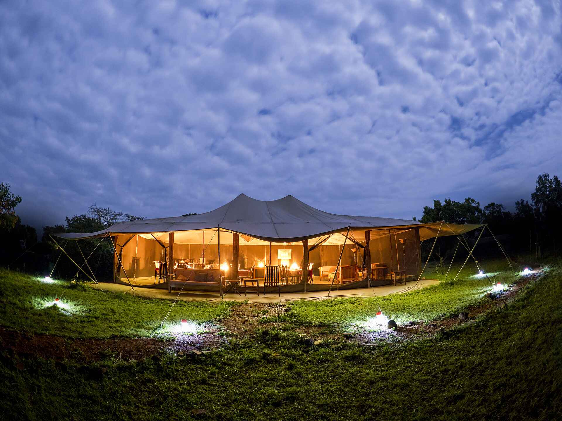Porini Lion Camp, Camp, Kenia, Lion, Löwen