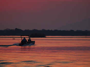 Tusk and Mane Safaris: Flüssiges Kupfer Tusk and Mane Safaris: Flüssiges Kupfer