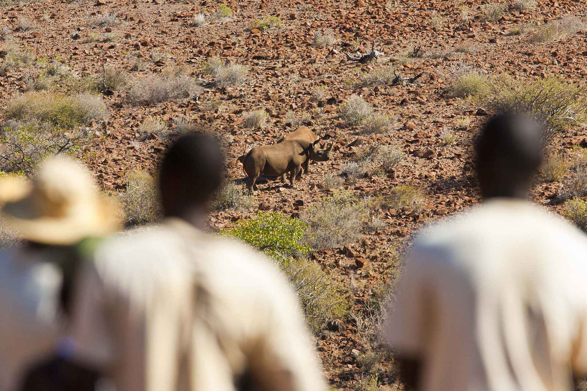 Grootberg Lodge: Nashornpirsch