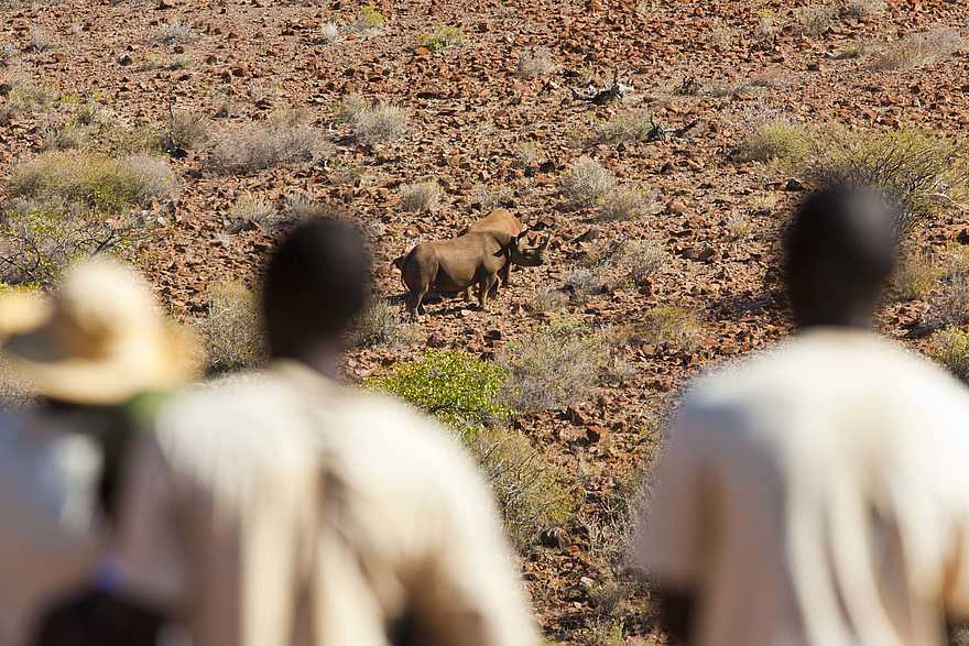Grootberg Lodge: Nashornpirsch Grootberg Lodge: Nashornpirsch