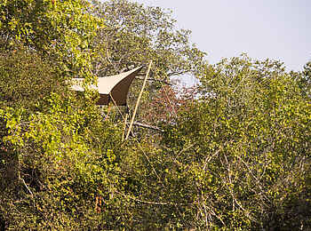 Mukambi Fig Tree Bush Camp: Ein Gästezelt in einem Baum