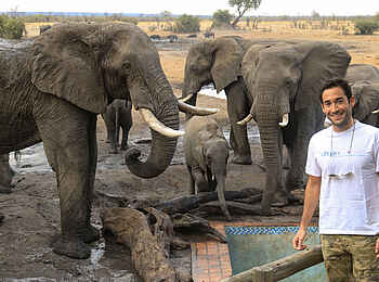 Nehimba Lodge: Elefanten aus nächster Nähe Nehimba Lodge: Elefanten aus nächster Nähe