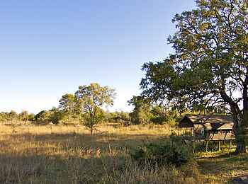 Nkasa Lupala Tented Lodge: Gästezelt neben einem alten Baum Nkasa Lupala Tented Lodge: Gästezelt neben einem alten Baum