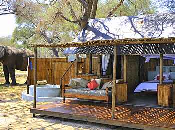 Old Mondoro Camp: Elefant hinter einem Gästezelt