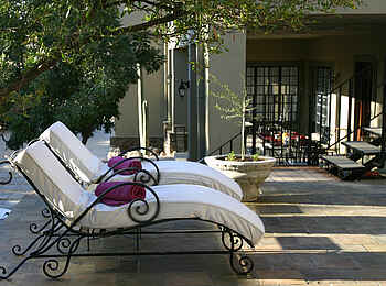 Olive Grove Guesthouse: Liegestühle