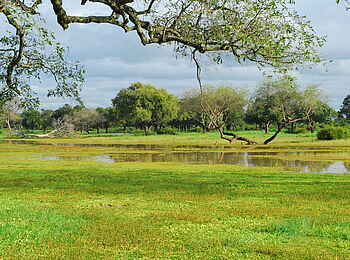 Robin Pope River Journeys: Lagune