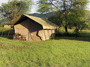 Ronjo Camp: Gästezelte unter Akazien