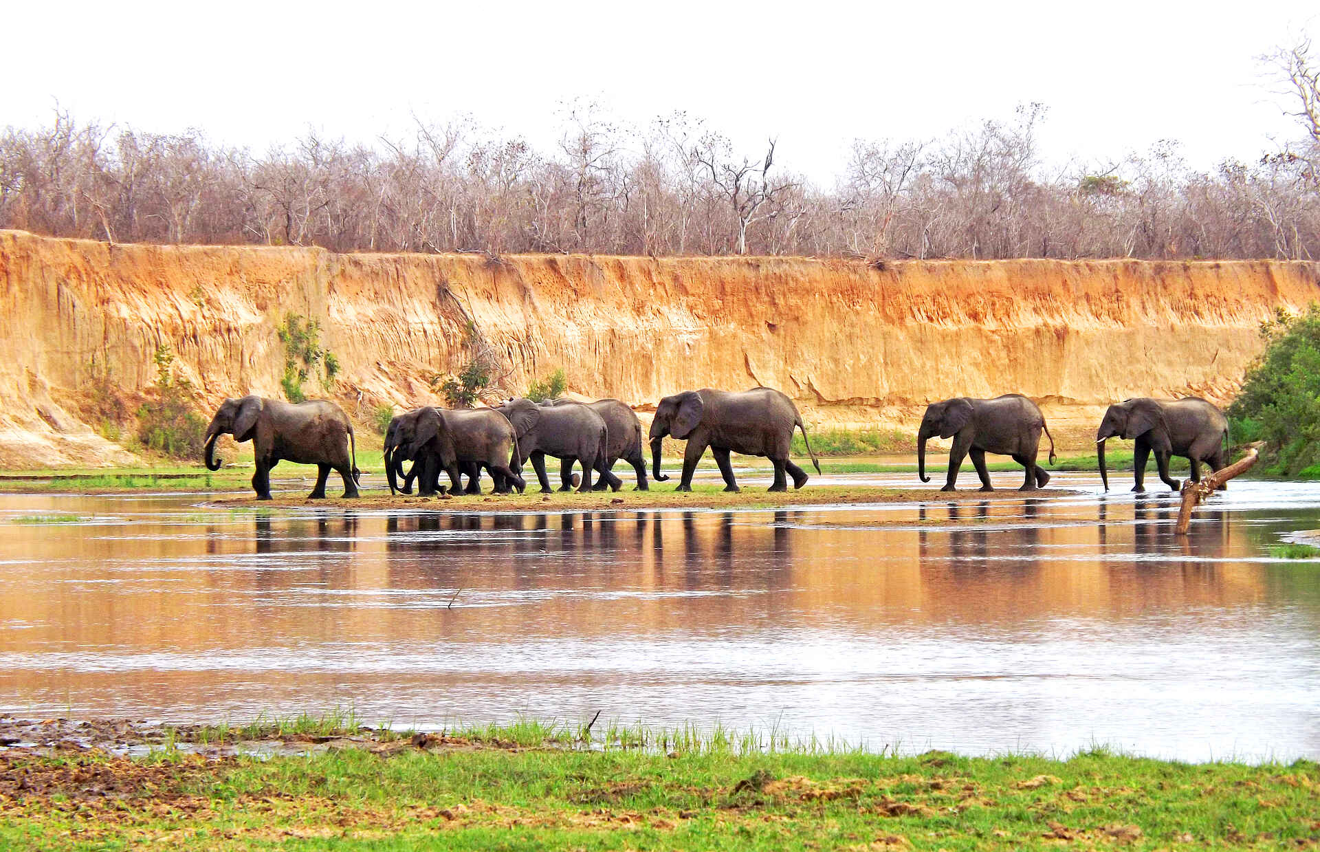 adventure camps, safari, selous impala camp, selous wildreservat, elefanten, wanderung, afrikarma, afrikarma safaris, afrikarma safaris - wildnis. hautnah., afrikarma.de