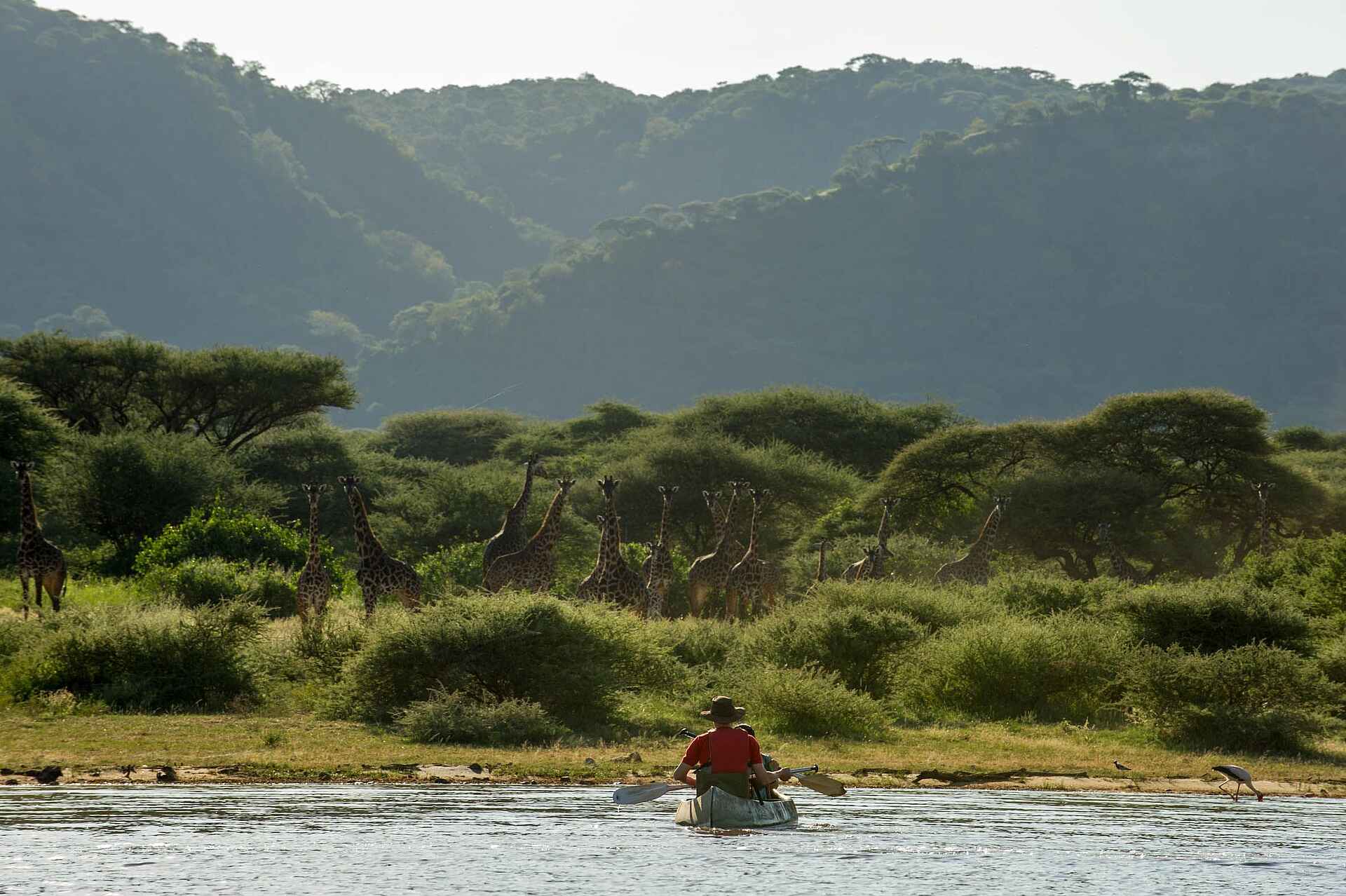 Wayo Manyara Green Camp: Kanufahren mit Giraffen