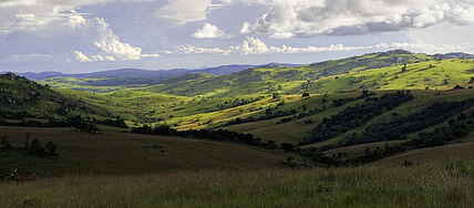 Chelinda Lodge, Malawi, Nyika Plateau, Nyika National Park, afrikarma, afrikarma.de, Wilderness Safaris