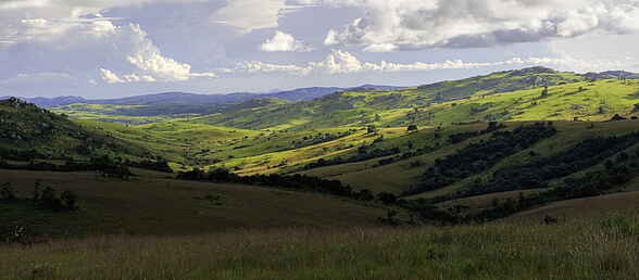 Chelinda Lodge, Malawi, Nyika Plateau, Nyika National Park, afrikarma, afrikarma.de, Wilderness Safaris