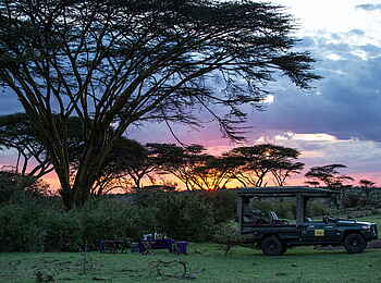 Mara Nyika Camp: Akazien