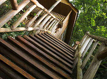 Buhoma Lodge: Blätterdach über einer Treppe