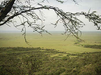 Charlie Sanjan Safari Camp: Blick über Camp