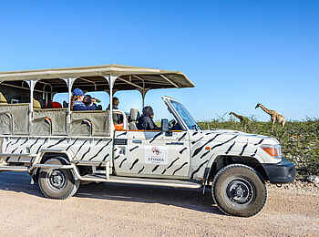 Etosha Safari Camp: Safarifahrzeug