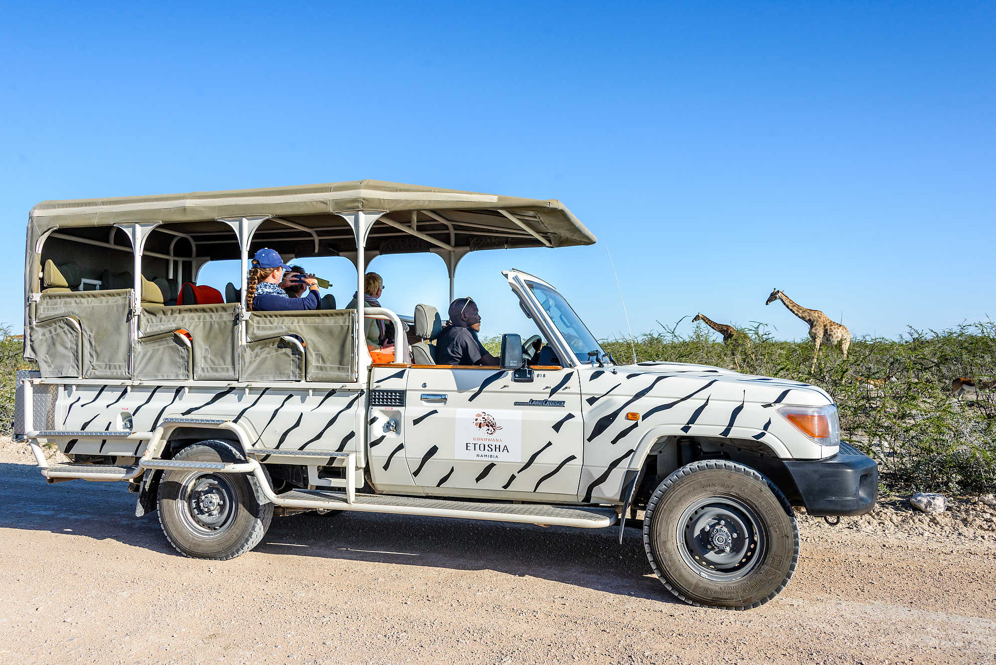 etosha safari camp rezensionen