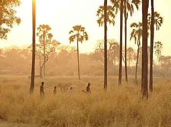 Ikuka Safari Camp: Walking Safari