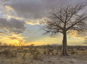 Jabali Private House: Sundowner