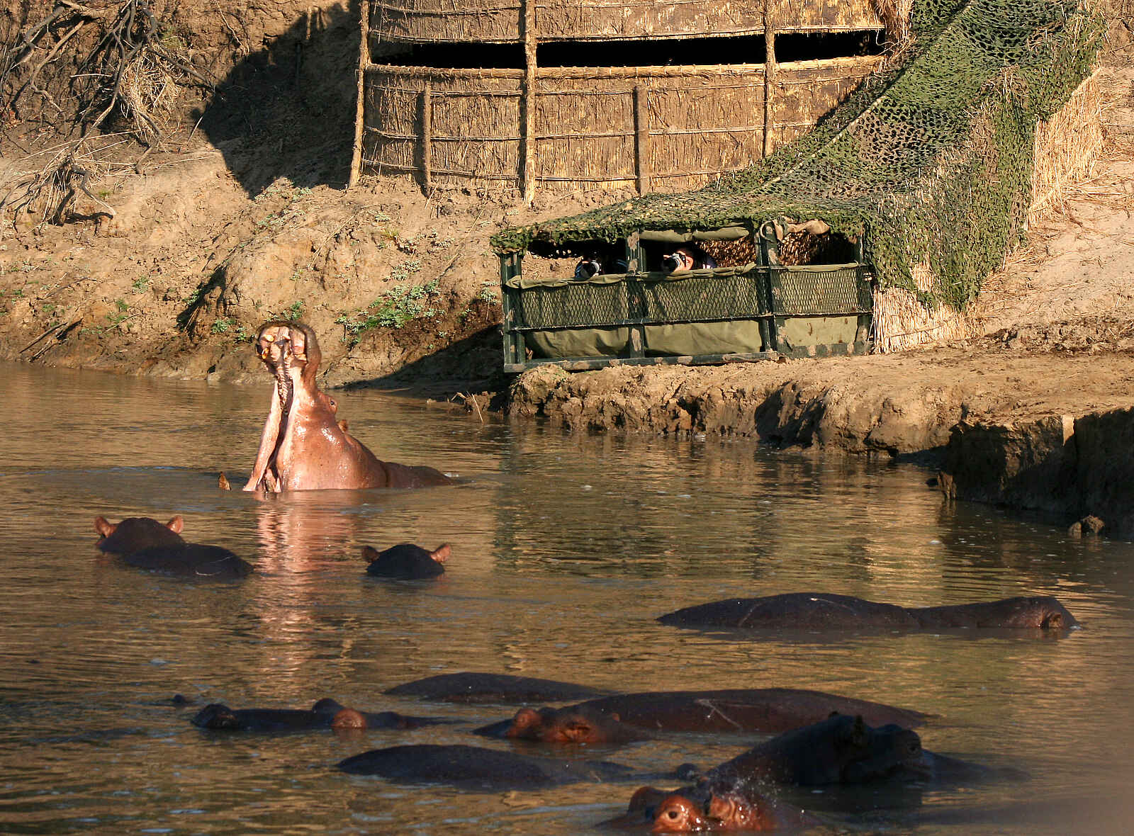 Kaingo Camp: Hides am Fluss Kaingo Camp: Hides am Fluss