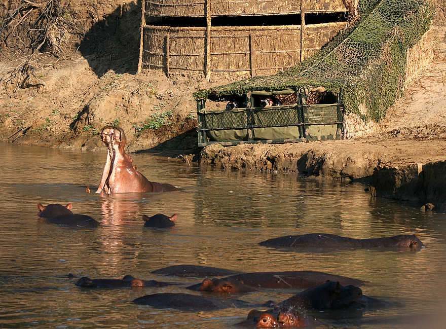 Kaingo Camp: Hides am Fluss Kaingo Camp: Hides am Fluss