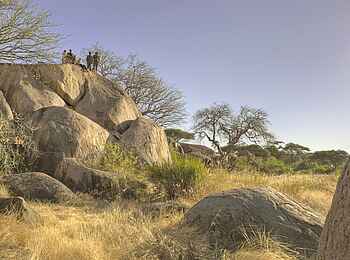 Kichaka Expeditions: Landschaft des Ruaha Nationalparks