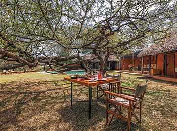 Lewa Safari Camp: Lunch unter Bäumen