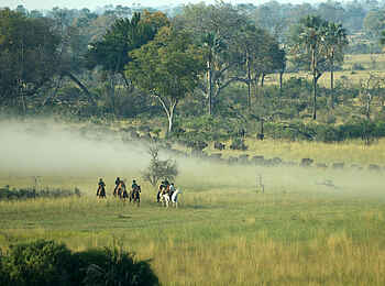 Macatoo Camp: Ausritt im Frühnebel