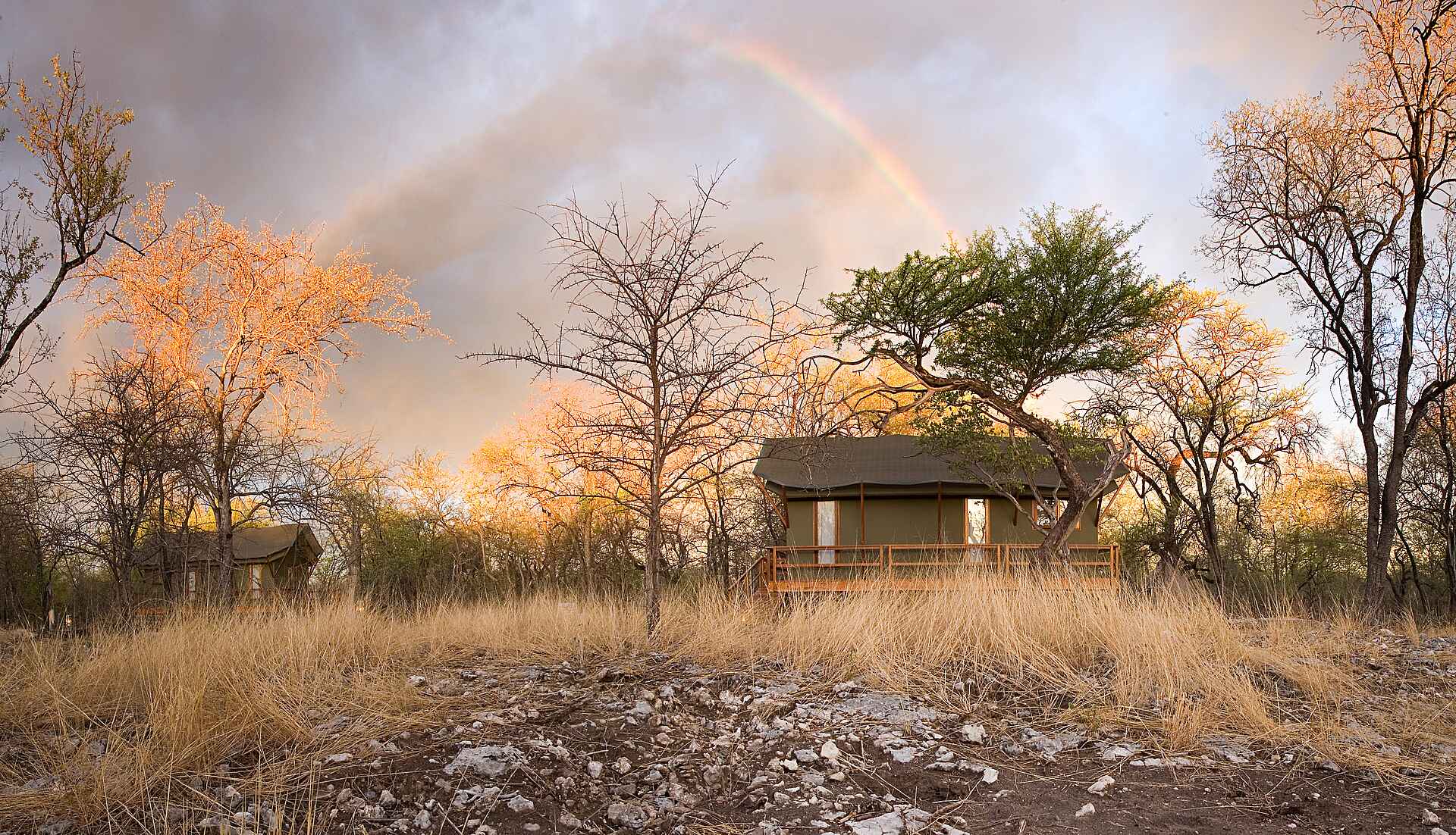 Busch, Gästezelt, Gästezeltexterieur, Zelt, Etosha, Etosha National Park, Mushara Collection, Mushara Outpost, Namutoni, Pampe Family, Etoshapfanne, Östlicher Etosharand
