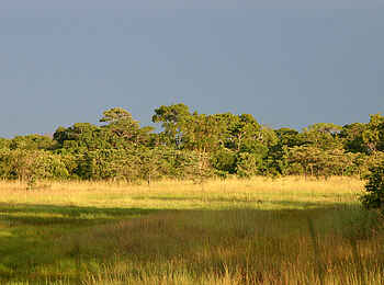 Nanzhila Plains Safari Camp: Abendlicht über der Dambo Nanzhila Plains Safari Camp: Abendlicht über der Dambo