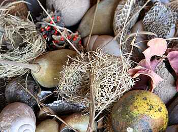 Nsefu Camp: Natur-Deko