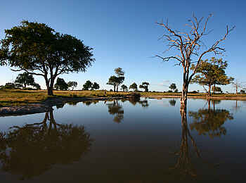 The Hide: Makwa-Pfanne The Hide: Makwa-Pfanne