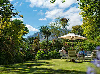 The Last Word Constantia Boutique Hotel: Der grüne Garten The Last Word Constantia Boutique Hotel: Der grüne Garten