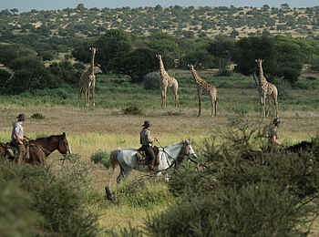 Mashatu Game Reserve: Gegenseitiges Interesse