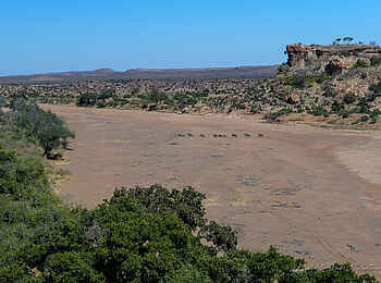 Mashatu Game Reserve: Motloutse River