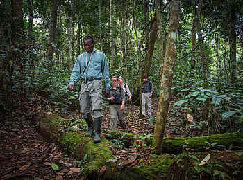 Ngaga Camp: Eine geführte Buschwanderung